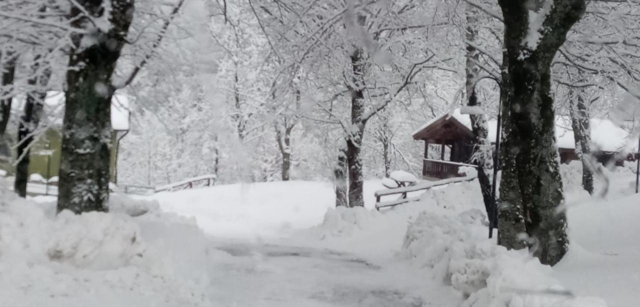 Chalet Mirtillo Capanne di Sillano Eksteriør bilde